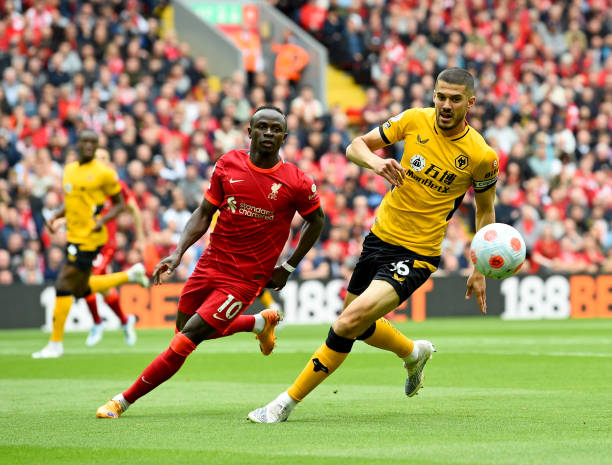 了專業導賞 了專業導賞